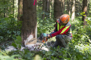 proprebois.ch proprebois.ch